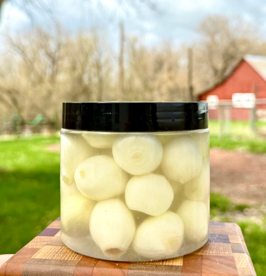 Pickled Pearl onions 🧅 (yellow)