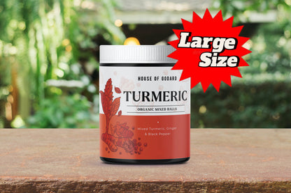 Rēine Godard's Exclusive Organic (MIXED) Turmeric Balls