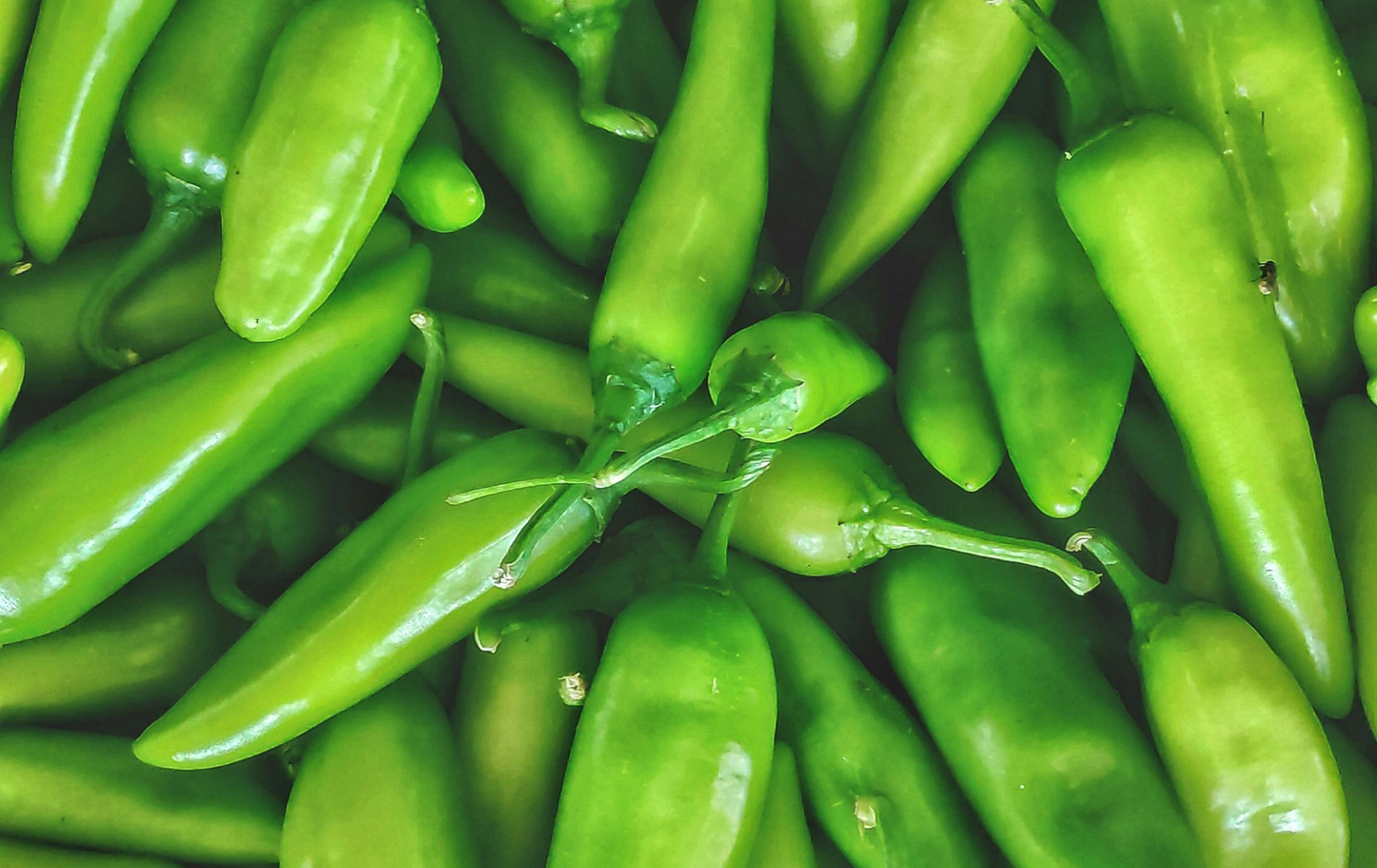 Gourmet Pickled Serrano Peppers